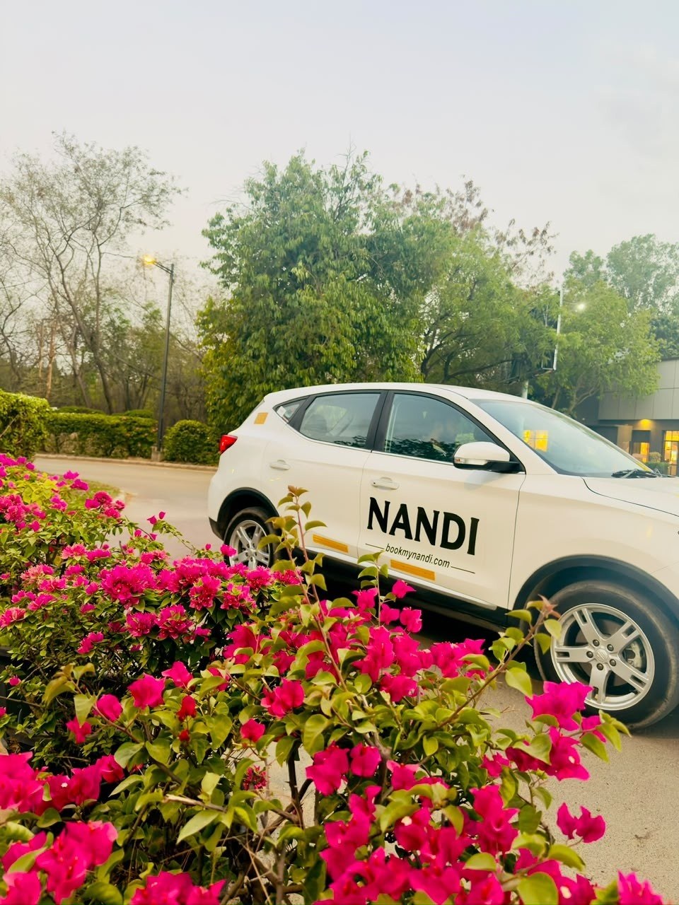 A white MG ZS EV in Nandi livery parked beside a bougainvillea hedge.